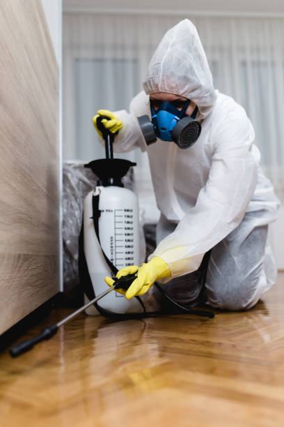 Best Real Estate Pest Inspections  in Briar Chapel, NC